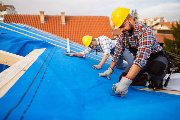 Best Roof Gutter Cleaning  in Hoquiam, WA